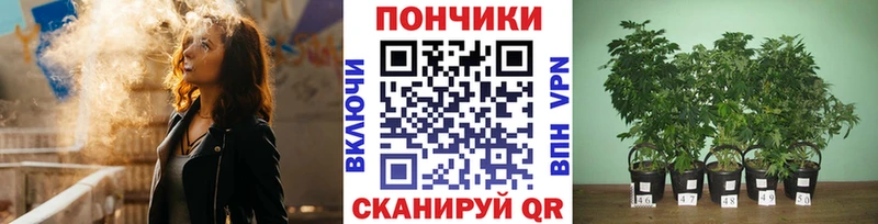 Купить наркотики Алушта Кокаин  МАРИХУАНА  omg ссылка  Гашиш  Меф 