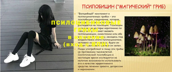 прущий лед Алексеевка